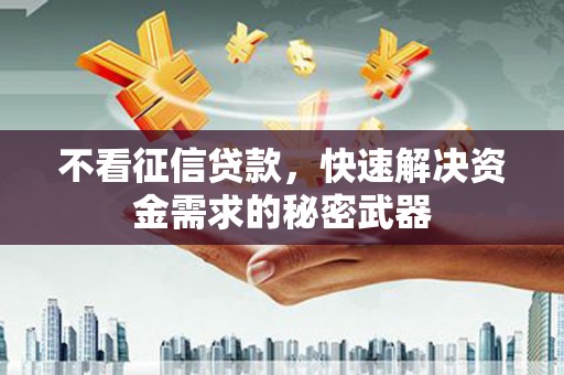 巴马不看征信贷款，快速解决资金需求的秘密武器