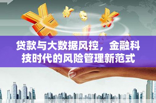 巴马贷款与大数据风控，金融科技时代的风险管理新范式