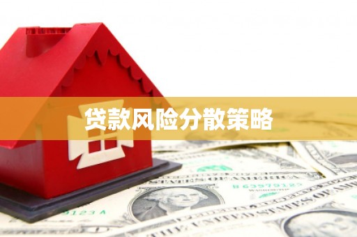 巴马贷款风险分散策略