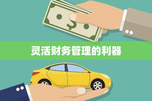 巴马灵活财务管理的利器