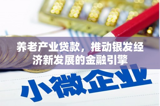 巴马养老产业贷款，推动银发经济新发展的金融引擎
