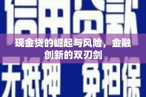 巴马现金贷的崛起与风险，金融创新的双刃剑