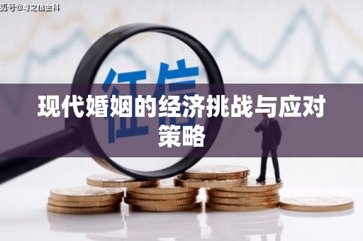 巴马现代婚姻的经济挑战与应对策略