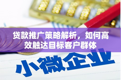 巴马贷款推广策略解析，如何高效触达目标客户群体