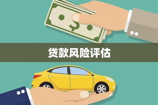巴马贷款风险评估