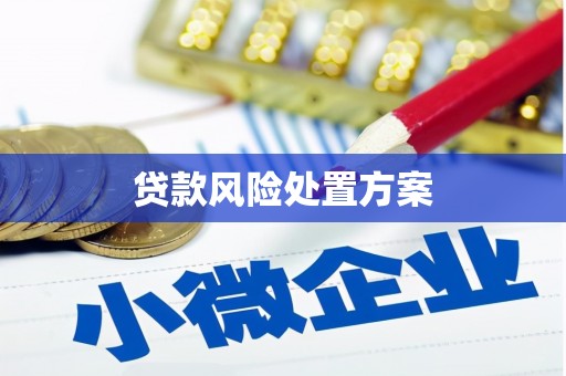 巴马贷款风险处置方案