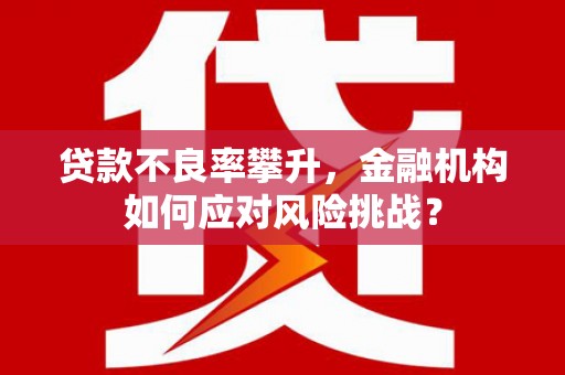 巴马贷款不良率攀升，金融机构如何应对风险挑战？