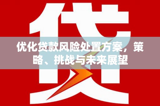 巴马优化贷款风险处置方案，策略、挑战与未来展望
