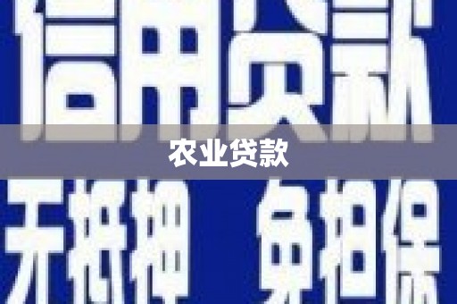 巴马农业贷款