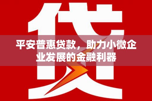 巴马平安普惠贷款，助力小微企业发展的金融利器