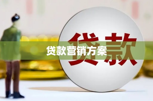 巴马贷款营销方案