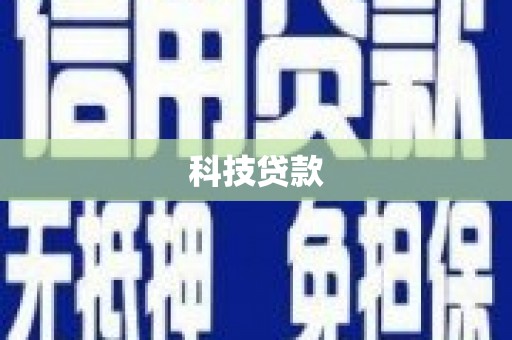 巴马科技贷款