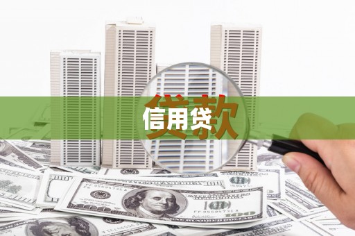 巴马信用贷