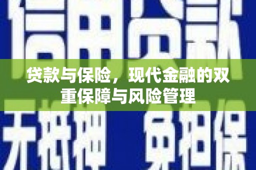 巴马贷款与保险，现代金融的双重保障与风险管理