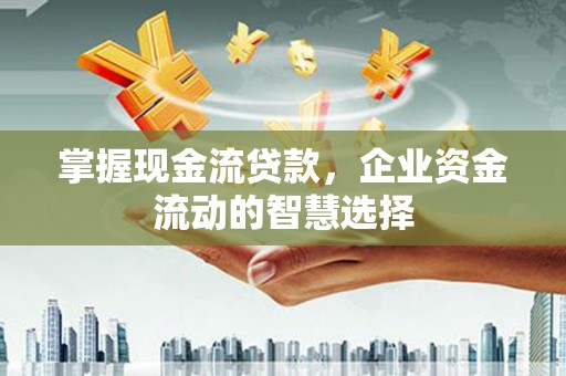 巴马掌握现金流贷款，企业资金流动的智慧选择