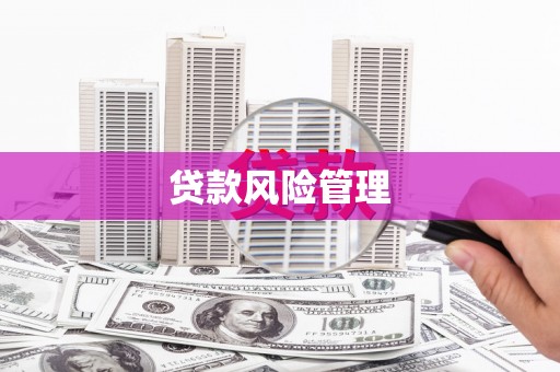 巴马贷款风险管理