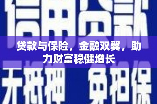 巴马贷款与保险，金融双翼，助力财富稳健增长