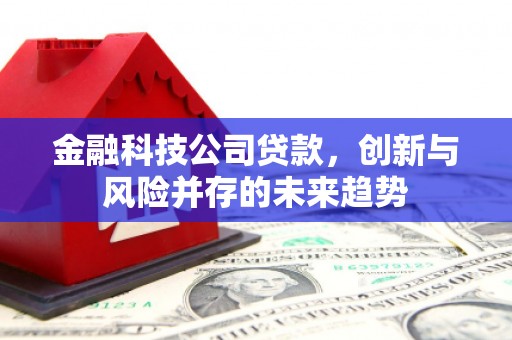 巴马金融科技公司贷款，创新与风险并存的未来趋势