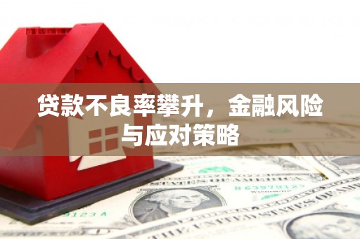 巴马贷款不良率攀升，金融风险与应对策略