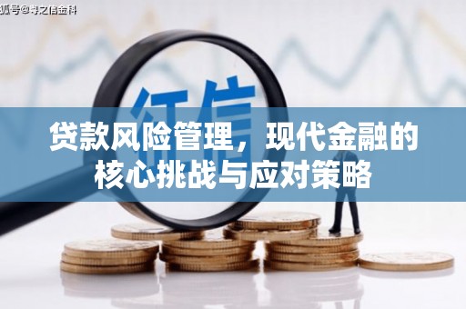 巴马贷款风险管理，现代金融的核心挑战与应对策略