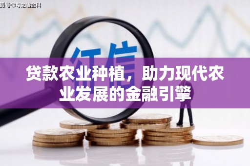 巴马贷款农业种植，助力现代农业发展的金融引擎
