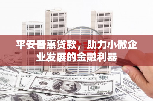 巴马平安普惠贷款，助力小微企业发展的金融利器