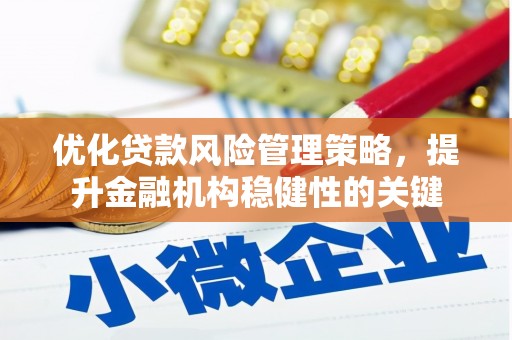 巴马优化贷款风险管理策略，提升金融机构稳健性的关键