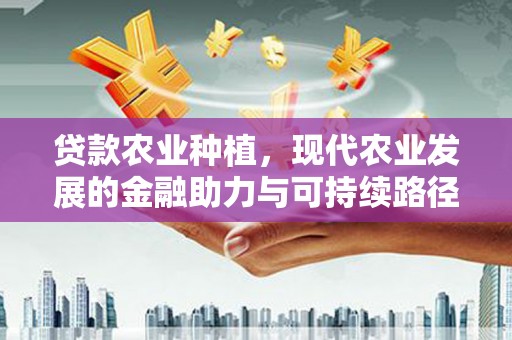 巴马贷款农业种植，现代农业发展的金融助力与可持续路径
