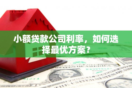 巴马小额贷款公司利率，如何选择最优方案？