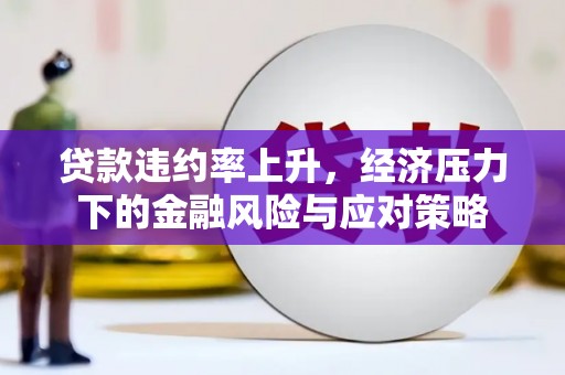 巴马贷款违约率上升，经济压力下的金融风险与应对策略