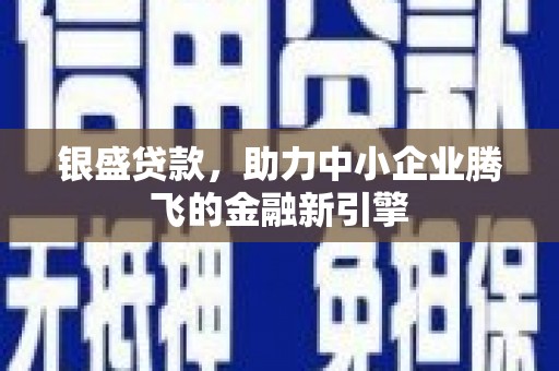 巴马银盛贷款，助力中小企业腾飞的金融新引擎