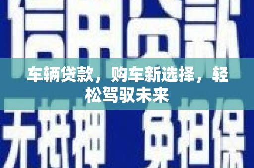 巴马车辆贷款，购车新选择，轻松驾驭未来