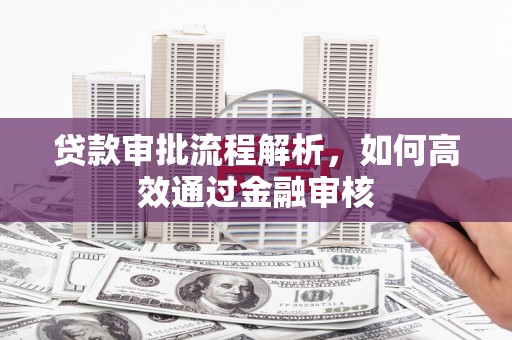 巴马贷款审批流程解析，如何高效通过金融审核
