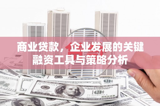 巴马商业贷款，企业发展的关键融资工具与策略分析