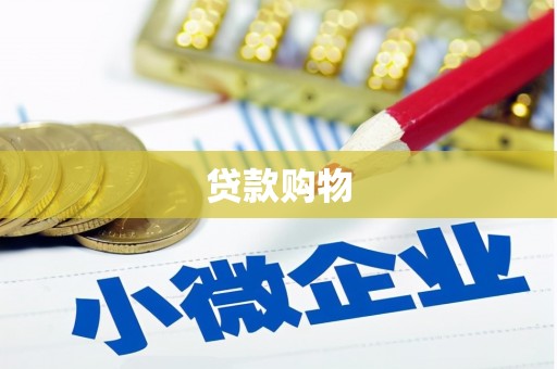 巴马贷款购物
