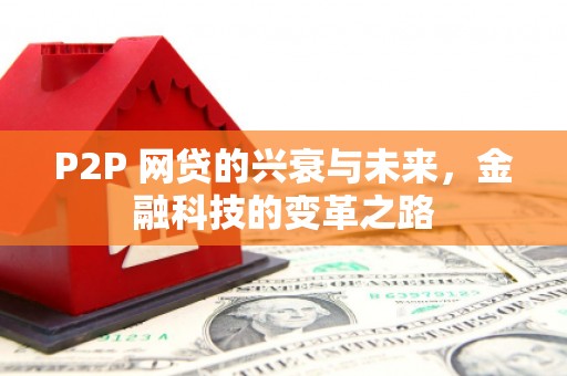 巴马P2P 网贷的兴衰与未来，金融科技的变革之路