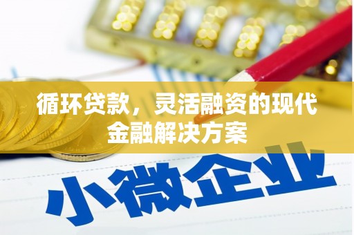 巴马循环贷款，灵活融资的现代金融解决方案