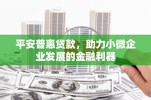 巴马平安普惠贷款，助力小微企业发展的金融利器