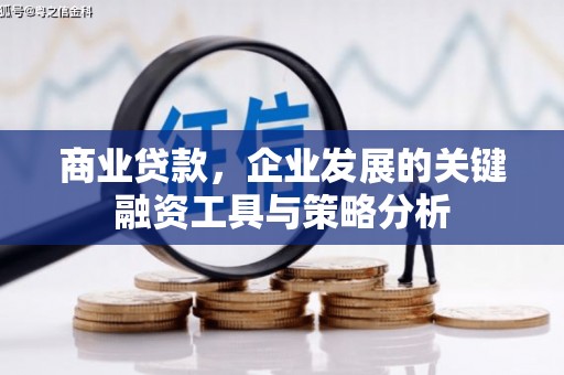巴马商业贷款，企业发展的关键融资工具与策略分析