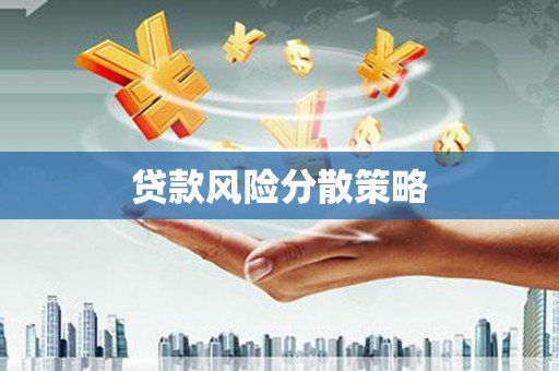 巴马贷款风险分散策略