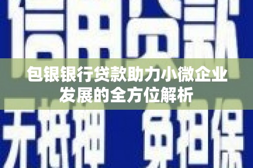 巴马包银银行贷款助力小微企业发展的全方位解析