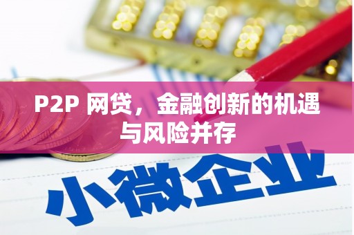 巴马P2P 网贷，金融创新的机遇与风险并存