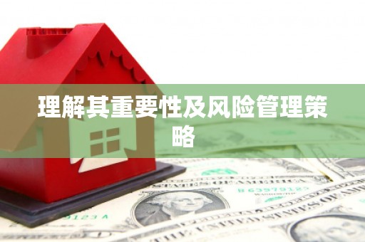 巴马理解其重要性及风险管理策略