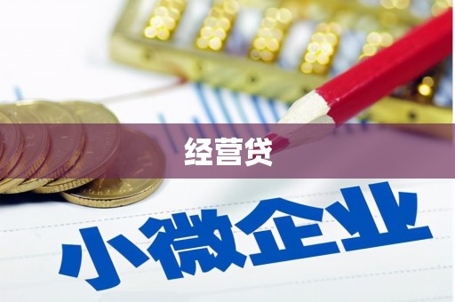 巴马经营贷