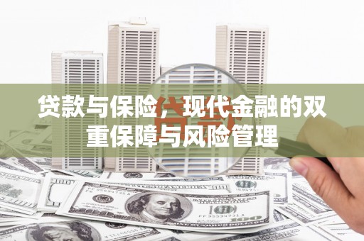 巴马贷款与保险，现代金融的双重保障与风险管理