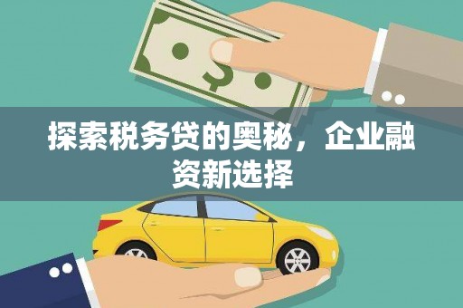 巴马探索税务贷的奥秘，企业融资新选择