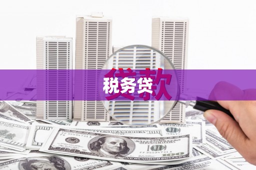 巴马税务贷