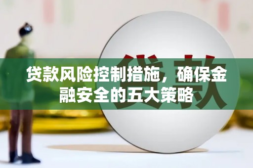 巴马贷款风险控制措施，确保金融安全的五大策略