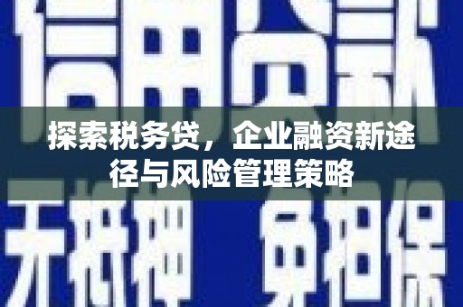 巴马探索税务贷，企业融资新途径与风险管理策略
