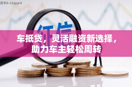 巴马车抵贷，灵活融资新选择，助力车主轻松周转